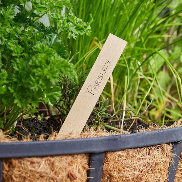 Wooden Plant Labels 15cm - 40 Pack
