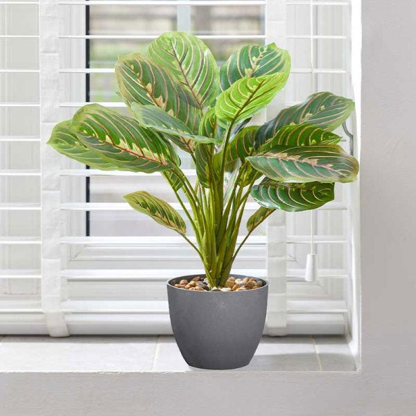 artificial prayer plant Artificial Faux Prayer Plant 35cm – Sefton Meadows Garden Centre