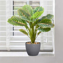 Artifical Faux Prayer Plant 35cm