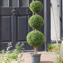 Artificial Outdoor Trio Topiary Tree 120cm