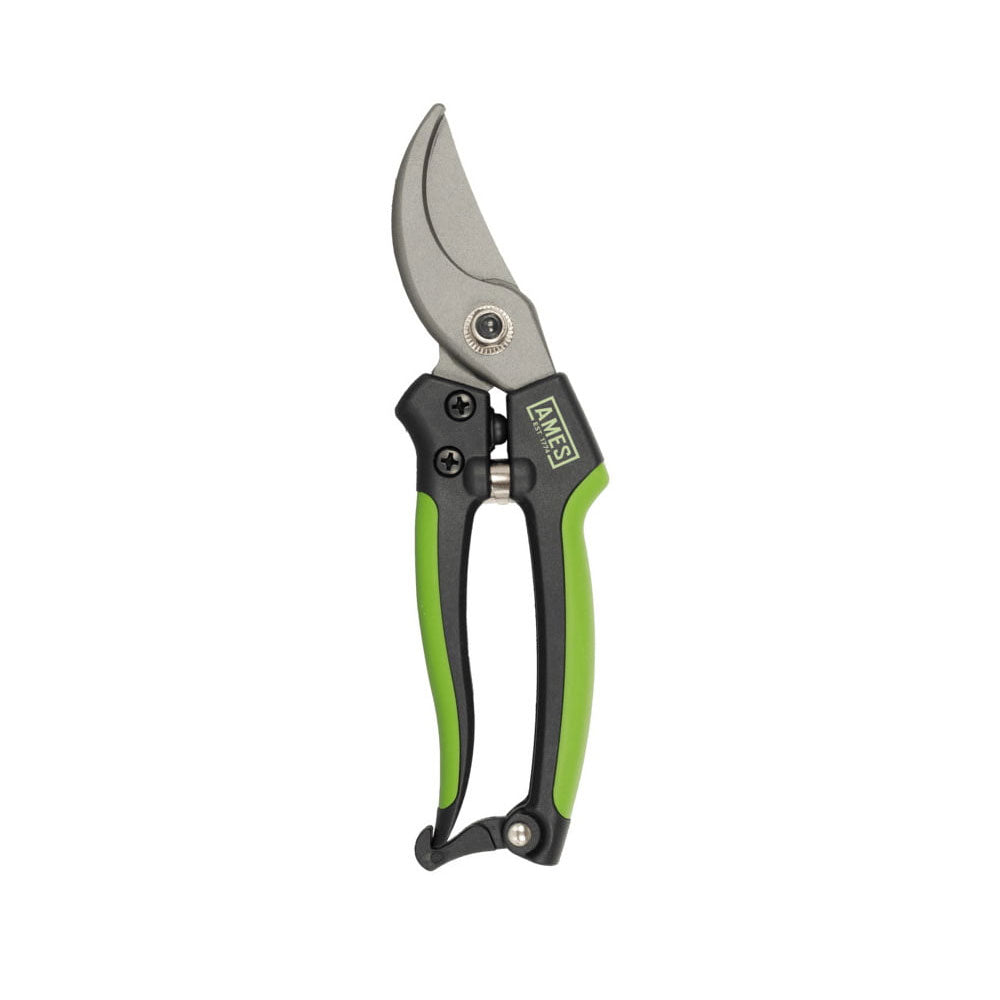 Ames Bypass Pruner