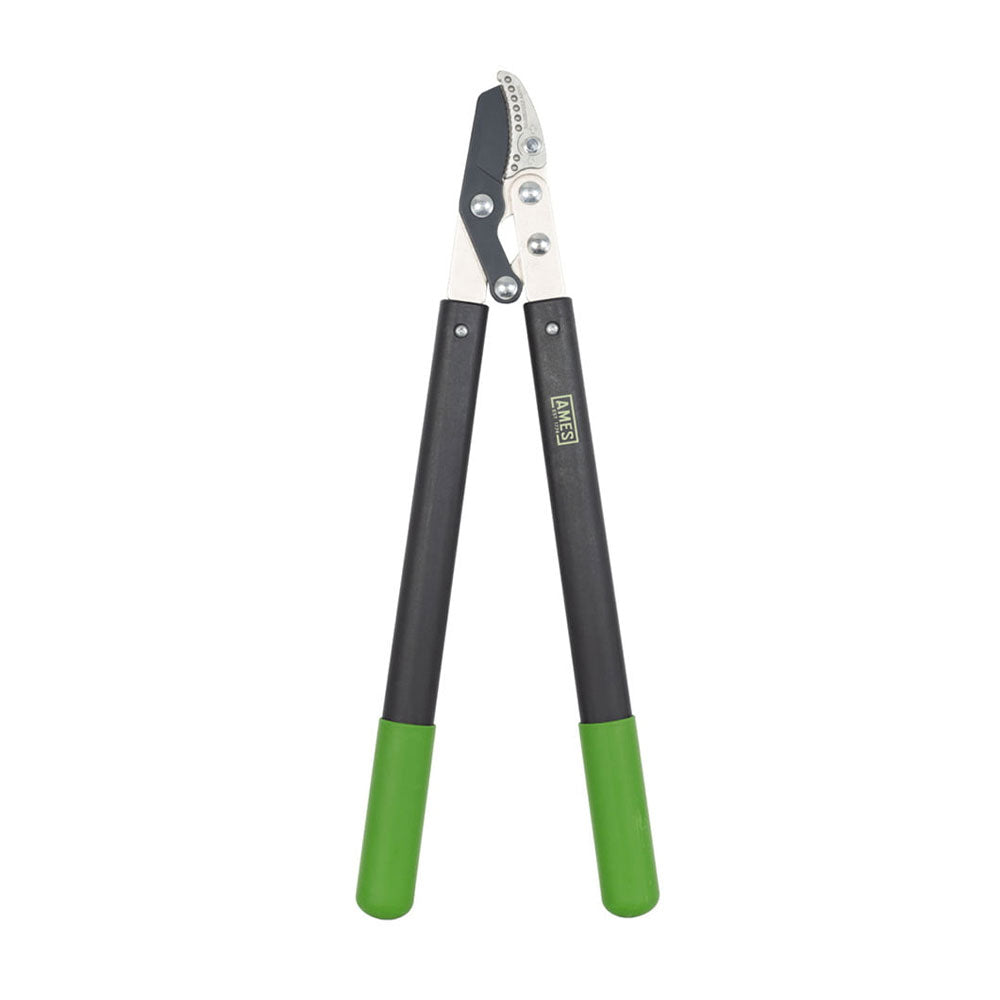 Ames Compound Anvil Lopper