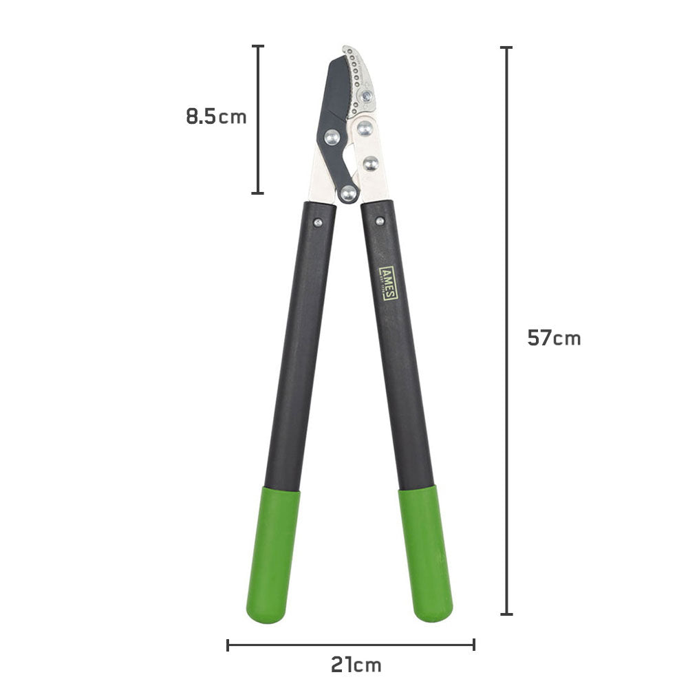 Ames Compound Anvil Lopper