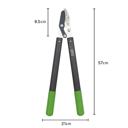 Ames Compound Anvil Lopper