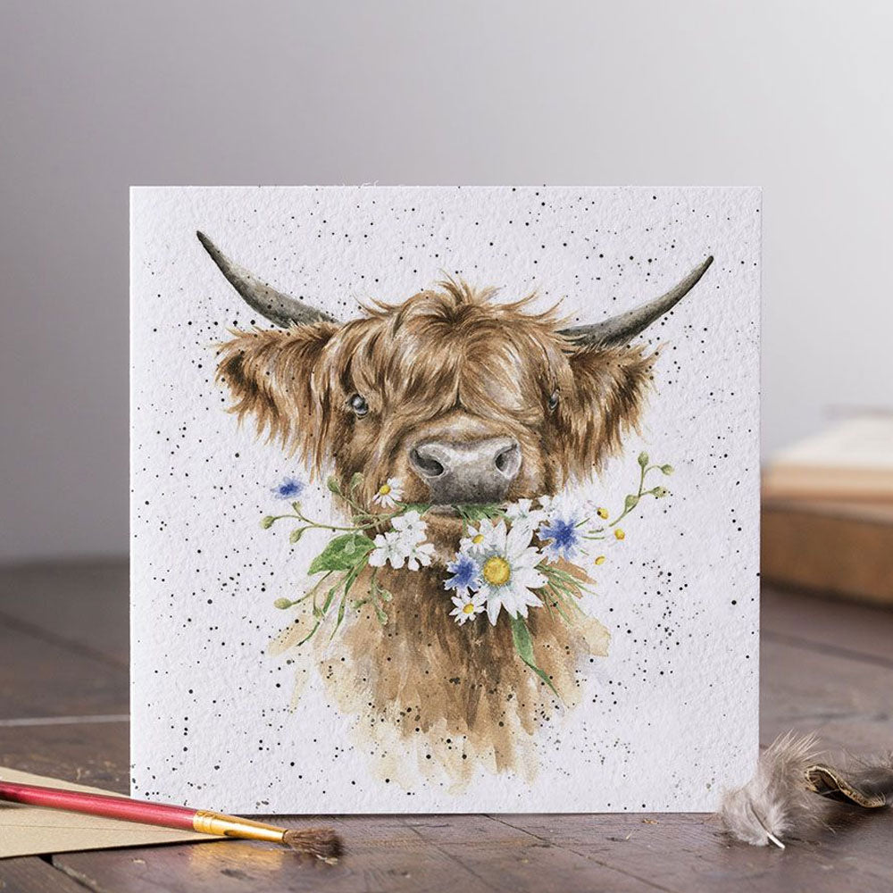 'Daisy Coo' Highland Cow Greeting Card 15x15cm