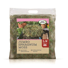Sphagnum Moss Basket Liner - Jumbo
