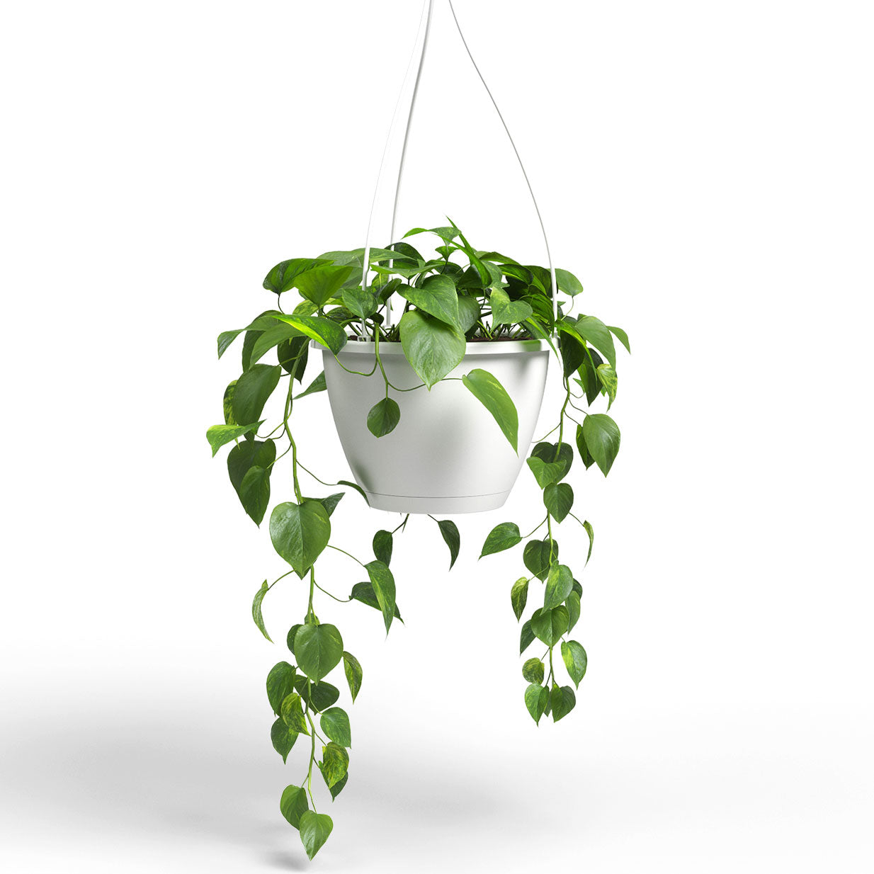 Algarve Plastic Hanging Basket White 30cm
