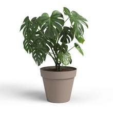 Capri Plastic Pot Taupe 40cm