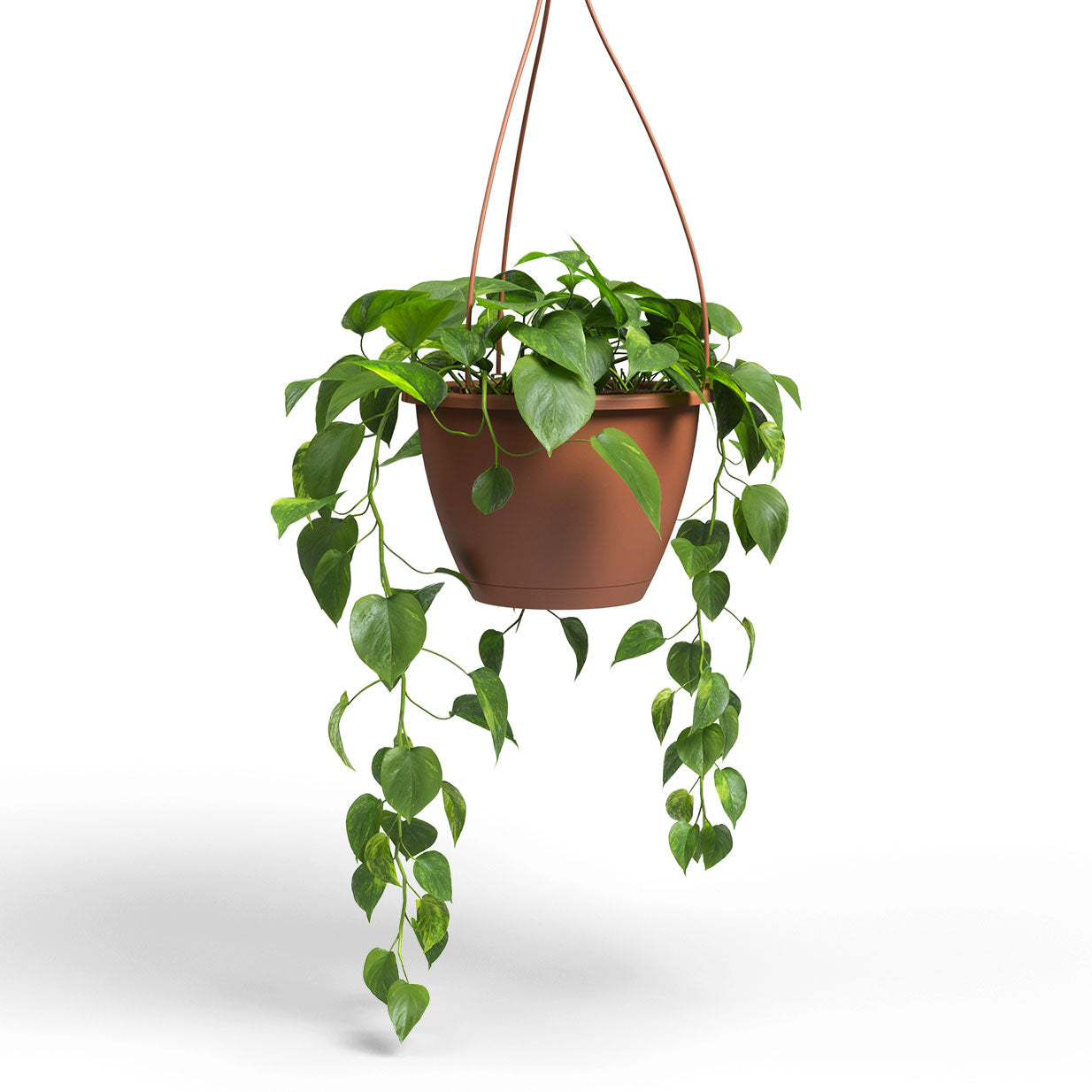 Algarve Plastic Hanging Basket Terracotta 30cm