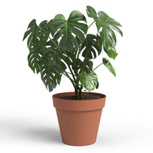 Capri Plastic Pot Terracotta 30cm