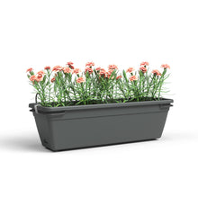 Venezia Balcony Plant Box Water Reserve Kit Anthracite 50cm