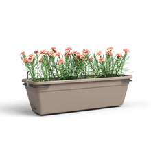 Venezia Balcony Plant Box Water Reserve Kit Taupe 50cm