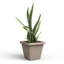 Venezia Plastic Square Pot Taupe 30cm