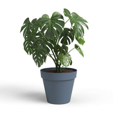 Capri Plastic Pot Slate Blue 30cm