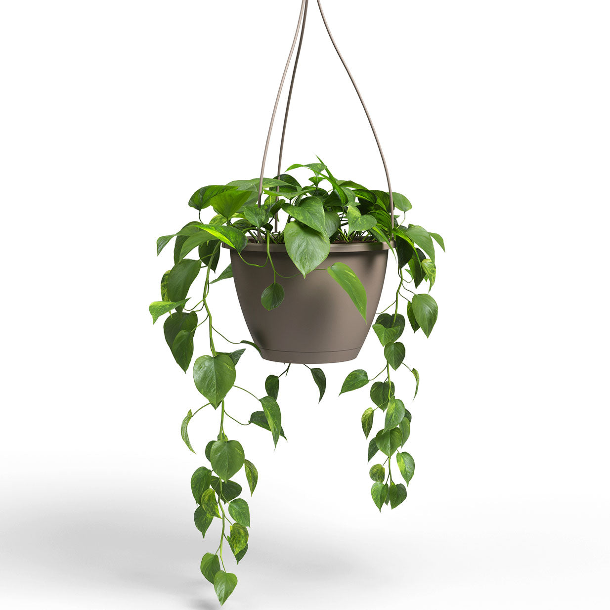 Algarve Plastic Hanging Basket Taupe 25cm