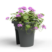 Venezia Plastic Balcony Pot Anthracite 30cm