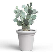 Toscana Plastic Pot Light Grey 40cm