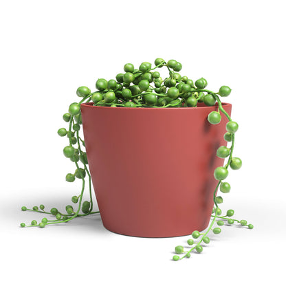Nubia Ceramic Pot Red 17cm