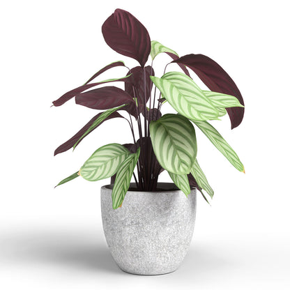 Hestia Ceramic Pot Light Grey 20cm