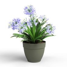 Capri Plastic Pot Dry Green 40cm