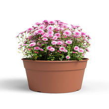 Madagascar Plastic Bowl Terracotta 35cm