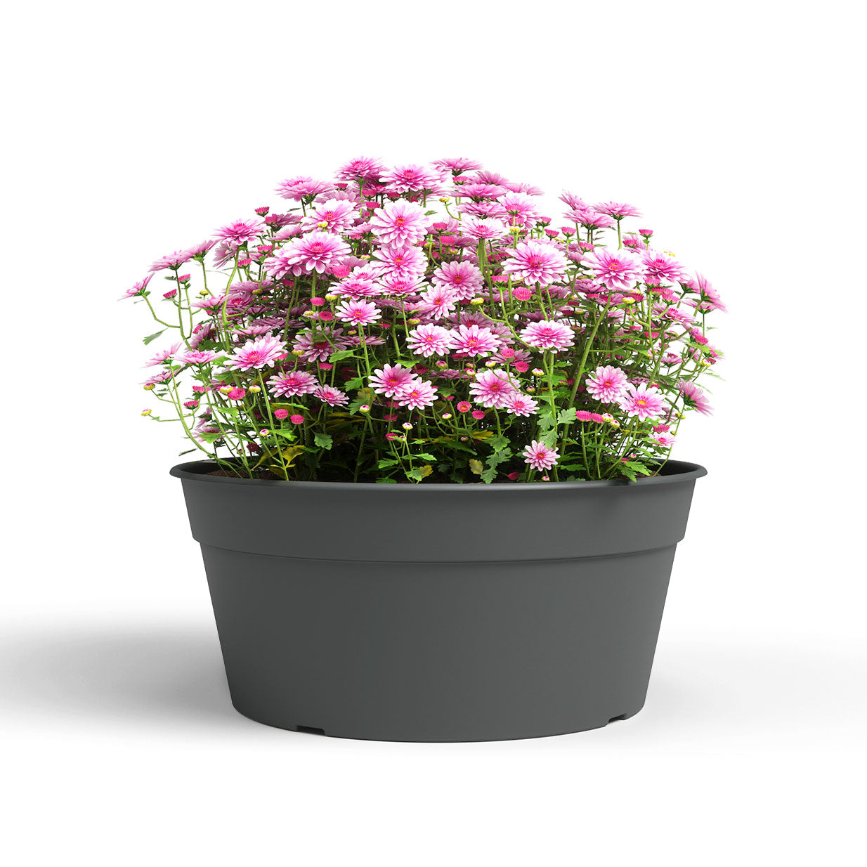 Madagascar Plastic Bowl Anthracite 27cm