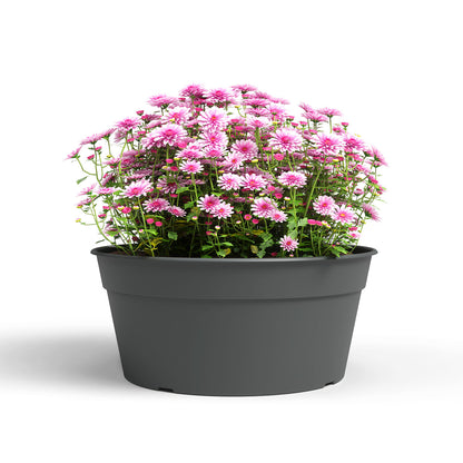 Madagascar Plastic Bowl Anthracite 27cm