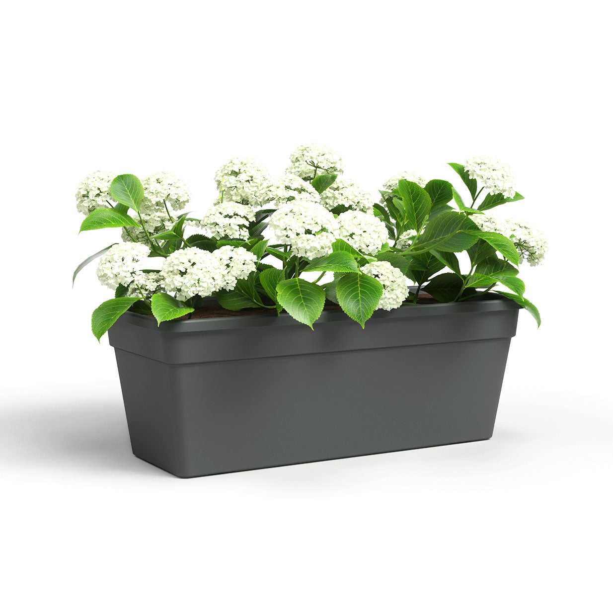 Madagascar Plastic Plant Box Anthracite 60cm
