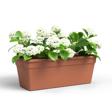 Madagascar Plastic Plant Box Terracotta 100cm