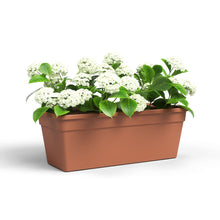 Madagascar Plastic Plant Box Terracotta 80cm