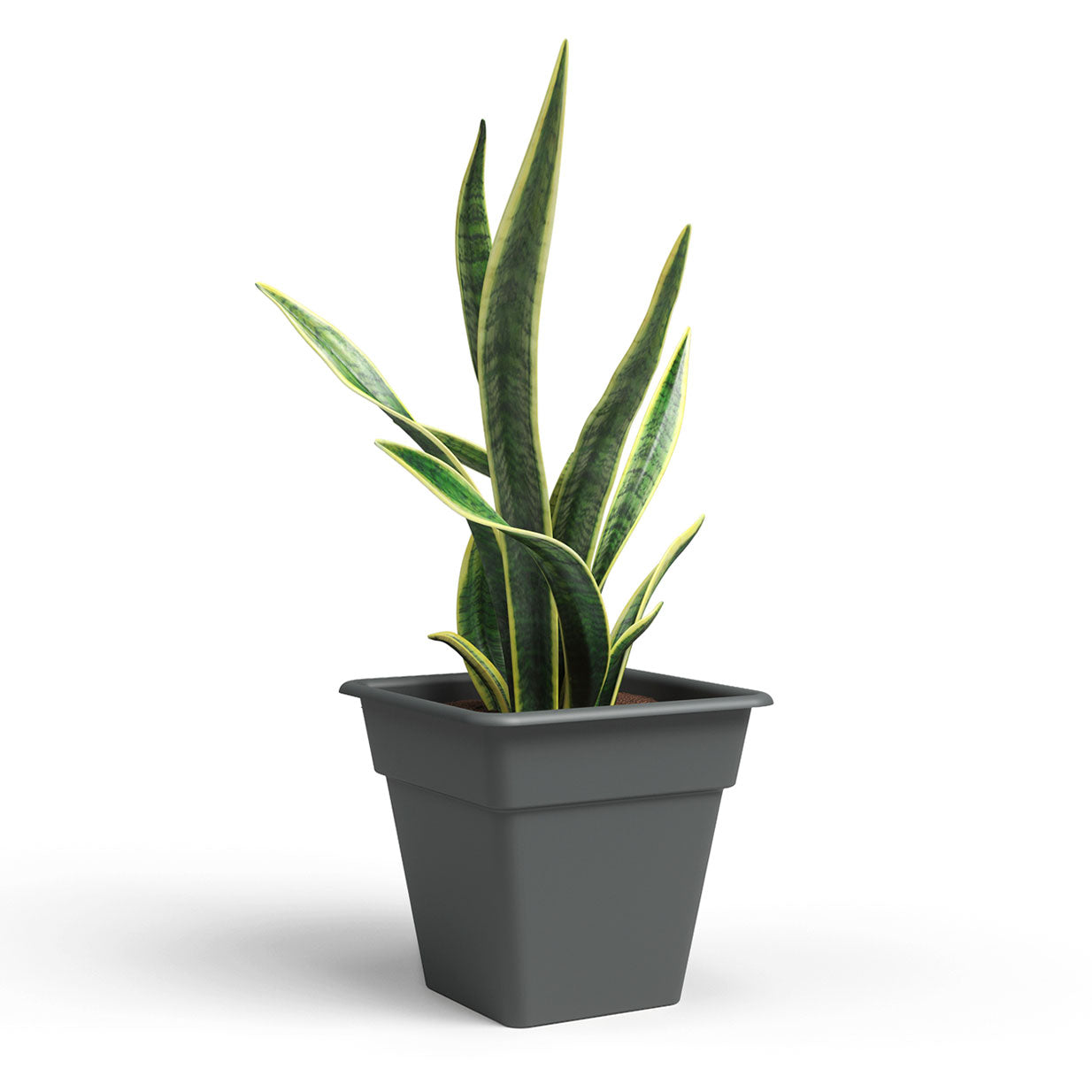 Madagascar Plastic Square Pot Anthracite 35cm