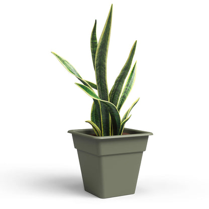 Madagascar Plastic Square Pot Dry Green 35cm