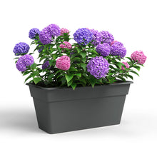 Madagascar Plastic Plant Box XL Anthracite 80cm