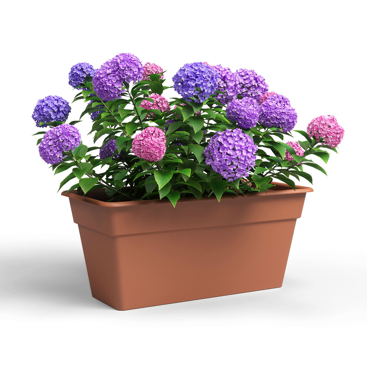 Madagascar Plastic Plant Box XL Terracotta 80cm