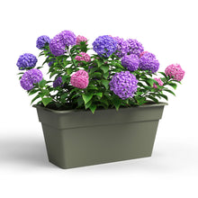 Madagascar Plastic Plant Box XL Dry Green 80cm