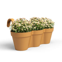 Capri Plastic Balcony Triple Pot Honey Yellow 54cm