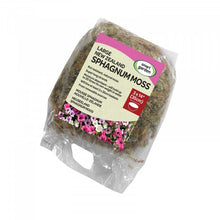 Sphagnum Moss