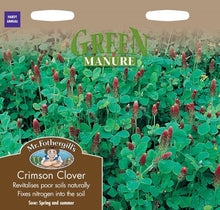 Mr Fothergills Green Manure Crimson Clover Seeds