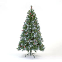 7ft Avatika Frosted Pine (210cm)