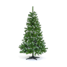 7ft Colorado Frosted Green Slim Spruce Christmas Tree (210cm)