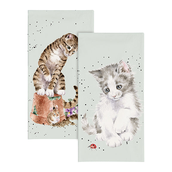 Cat Pocket Tissues  Ladybird