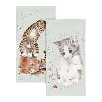 Cat Pocket Tissues  Ladybird