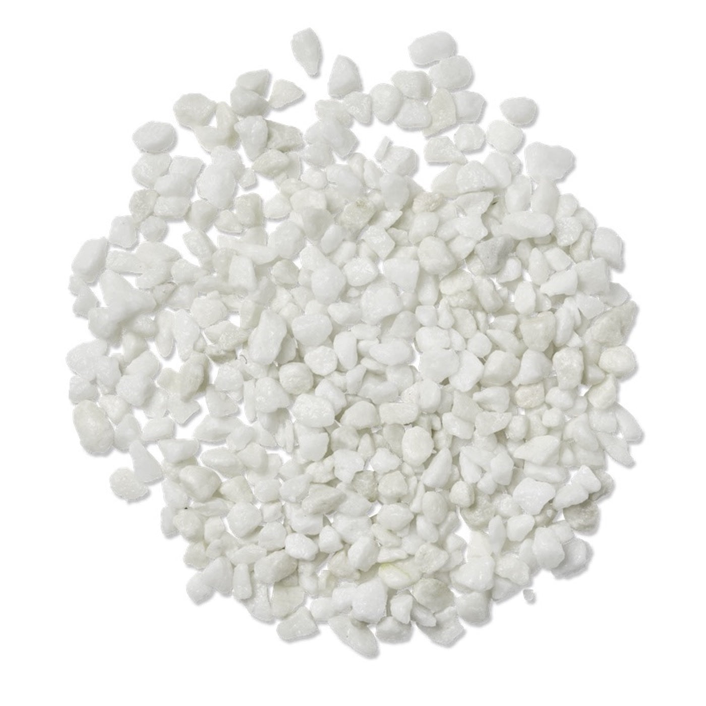 CLASSIC WHITE 20MM LG