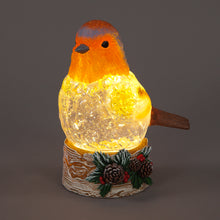 18cm Light-Up Robin Snow Globe | Warm White LED Christmas Water Lantern