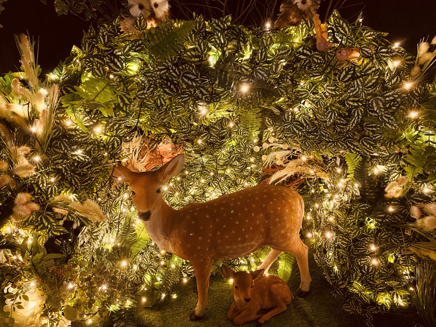 Santa's Grotto Visit