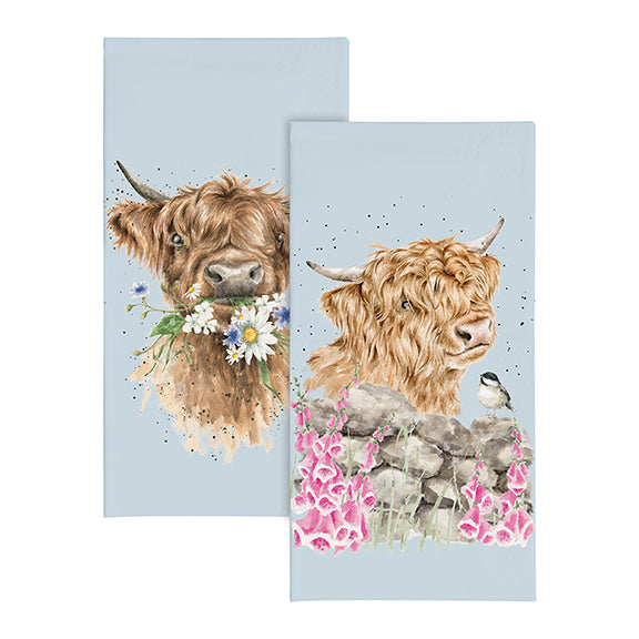 Highland Cow Pocket Tissues  Daisy Coo