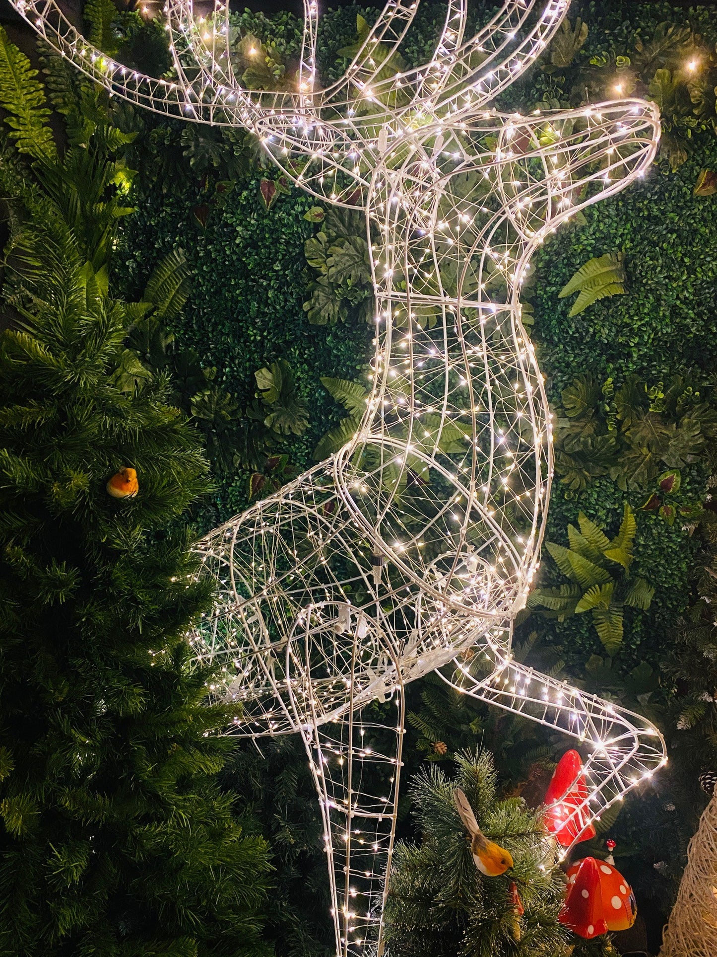 Santa's Grotto Visit