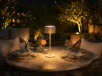 26cm Dimming Table Lamp
