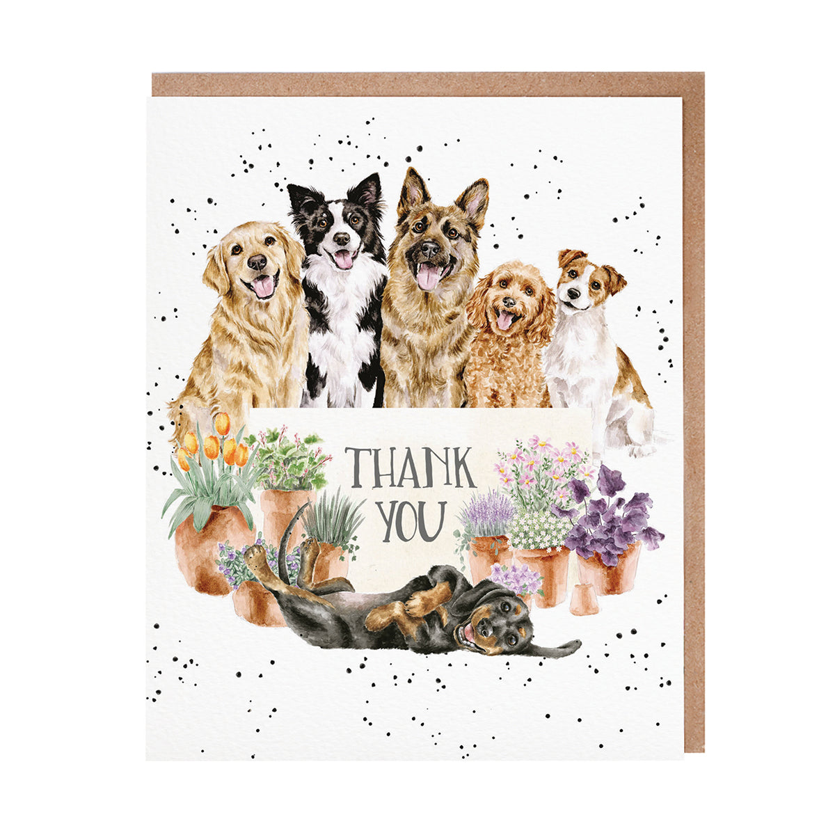 Blooms and Barks
