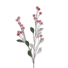 Snowy Echinop Spray 68cm